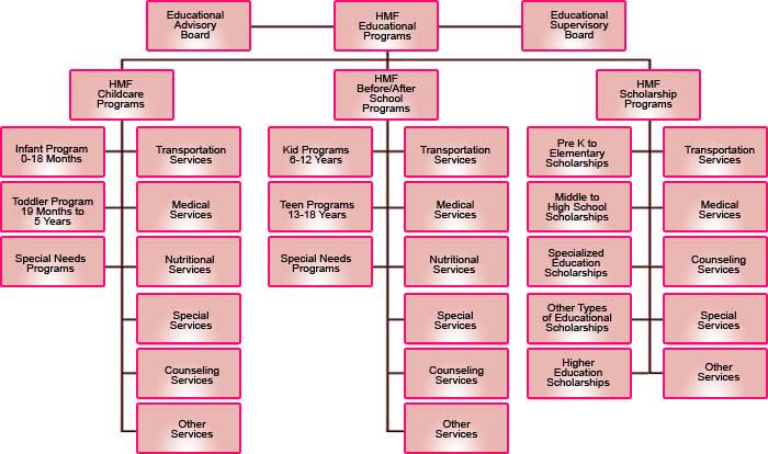 education organizational chart